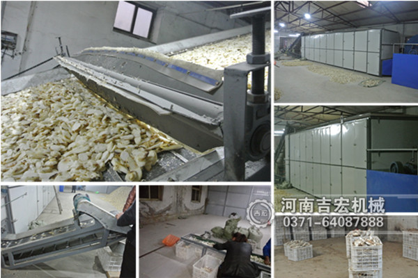 生姜烘干機_小型鬼子姜烘干機價格_大型鮮姜烘干設(shè)備廠家